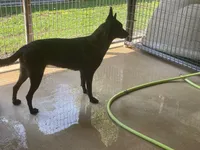 processed/fdde17bd-5b52-4f65-9800-c3220687e94c/listing/3fb1681f-65f5-4153-810e-60350f743775/2ec793ef-e152-4dfb-b4b3-0550e85be05c