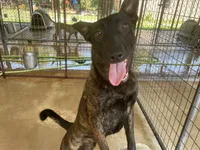 processed/fdde17bd-5b52-4f65-9800-c3220687e94c/listing/3fb1681f-65f5-4153-810e-60350f743775/499b8461-f631-42b7-a2a3-be5f0dbb6403