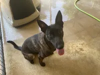 processed/fdde17bd-5b52-4f65-9800-c3220687e94c/listing/3fb1681f-65f5-4153-810e-60350f743775/77ab32e5-513b-4b54-a54b-f2ad2c4de951