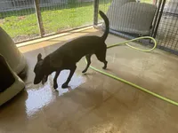 processed/fdde17bd-5b52-4f65-9800-c3220687e94c/listing/3fb1681f-65f5-4153-810e-60350f743775/de863ae5-61c6-4dcb-80af-d4c7444bcadd