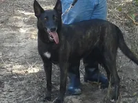 processed/fdde17bd-5b52-4f65-9800-c3220687e94c/listing/3fb1681f-65f5-4153-810e-60350f743775/e58ef880-27bb-4cac-a6a7-ae729f28498f