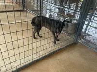 processed/fdde17bd-5b52-4f65-9800-c3220687e94c/listing/6d6c5e9c-d167-4a6d-a3b7-2f59a3fcd6d4/3b687ec4-5080-484b-9283-5e2c044844d0