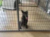 processed/fdde17bd-5b52-4f65-9800-c3220687e94c/listing/6d6c5e9c-d167-4a6d-a3b7-2f59a3fcd6d4/54968364-5385-4b5f-9a12-a341c7f03bf2