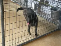 processed/fdde17bd-5b52-4f65-9800-c3220687e94c/listing/6d6c5e9c-d167-4a6d-a3b7-2f59a3fcd6d4/8b67935e-432f-4602-898f-8f6c23272797