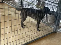 processed/fdde17bd-5b52-4f65-9800-c3220687e94c/listing/6d6c5e9c-d167-4a6d-a3b7-2f59a3fcd6d4/cf0deb9c-e18e-46c1-89b7-f1492c35352e