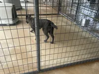 processed/fdde17bd-5b52-4f65-9800-c3220687e94c/listing/6d6c5e9c-d167-4a6d-a3b7-2f59a3fcd6d4/e5ef6593-2f31-415d-9f10-70af4279542b