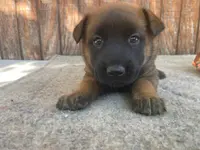 processed/fdde17bd-5b52-4f65-9800-c3220687e94c/listing/72fc716b-ba20-4f23-8182-c5af96f6782f/4725dc1e-5b99-4f5b-9f15-3afea5af4b68