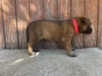 processed/fdde17bd-5b52-4f65-9800-c3220687e94c/listing/72fc716b-ba20-4f23-8182-c5af96f6782f/7cb2408b-9d49-4494-8dd7-0b932bf20103