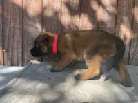 processed/fdde17bd-5b52-4f65-9800-c3220687e94c/listing/72fc716b-ba20-4f23-8182-c5af96f6782f/f84c0ef7-c878-4a5b-9931-6afd7d71fd8c