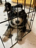 processed/fde2e7da-7736-4c76-9c51-21d580e5f43e/facility/09966f1c-9c6f-4955-8e33-6951a6a8eb89