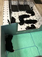 processed/fde2e7da-7736-4c76-9c51-21d580e5f43e/facility/4a01858c-745a-404c-977d-7de118998493