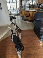 processed/fde2e7da-7736-4c76-9c51-21d580e5f43e/facility/a60c1e9e-b5cb-441c-9ebf-3c16933730bf