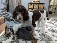 processed/fde2e7da-7736-4c76-9c51-21d580e5f43e/facility/bf93327c-3748-4a21-b7ca-2267fb3ef84b