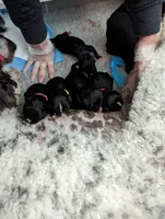 processed/fde2e7da-7736-4c76-9c51-21d580e5f43e/facility/d0aed398-2339-4043-bb70-da3a4b2cf8ac