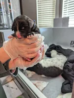 processed/fde2e7da-7736-4c76-9c51-21d580e5f43e/facility/d5341e08-8b0c-485a-b34d-c23bf7f19e13