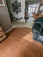 processed/fde2e7da-7736-4c76-9c51-21d580e5f43e/facility/e837d735-6426-4184-a521-46760f64950e