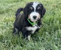 processed/fde2e7da-7736-4c76-9c51-21d580e5f43e/facility/edc8c8fb-e616-4d4b-a91d-9566b94feeae