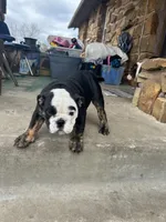 processed/fde42f16-d388-48fe-bf75-55951fd6e2a5/facility/019894c5-8e3b-4c38-84c5-c53028767f92