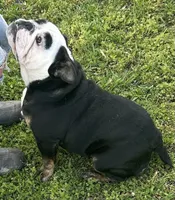 processed/fde42f16-d388-48fe-bf75-55951fd6e2a5/facility/1394ad7b-7120-4355-bef2-1baa6bdb8d35