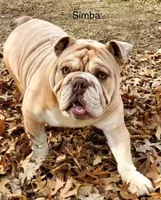 processed/fde42f16-d388-48fe-bf75-55951fd6e2a5/facility/aed14a95-7670-493d-ab70-88ce4e0664ba