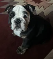 processed/fde42f16-d388-48fe-bf75-55951fd6e2a5/facility/e71cadb6-0ed6-4664-81f6-be9961af20a9