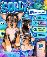 Sully, a male Rat Terrier and Yorkshire Terrier for sale in Locust, NC – 1 of 1