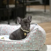 processed/fdefd266-daaa-4f97-960f-432a6742605d/listing/1329ffda-fabe-4a18-855f-1ccf703a4569/0bccf7e4-9159-45dc-a7f8-0aeab8699f44