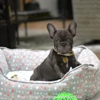 processed/fdefd266-daaa-4f97-960f-432a6742605d/listing/1329ffda-fabe-4a18-855f-1ccf703a4569/5af23f7c-fc34-4a2b-857f-88efee1157b7