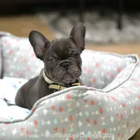 processed/fdefd266-daaa-4f97-960f-432a6742605d/listing/1329ffda-fabe-4a18-855f-1ccf703a4569/6417d763-d840-405b-9503-e1ef557c4991