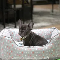 processed/fdefd266-daaa-4f97-960f-432a6742605d/listing/1329ffda-fabe-4a18-855f-1ccf703a4569/d1de1600-04b2-4ee5-a1ae-222cca13bbd6