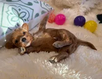 processed/fdfba5b3-2f17-470f-8353-038889de745c/listing/329c1013-6973-4418-a370-12799f267595/82ff23e0-aa1b-4804-8d56-e5e7ba877c56