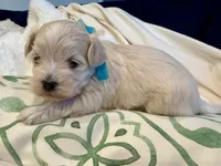 processed/fdfba5b3-2f17-470f-8353-038889de745c/listing/6fcd5482-3ca7-42d9-b82b-8a59bc50bd2e/86c2b2da-8af2-4894-8c63-2ebedb3f7d75