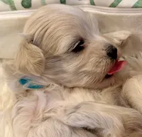 processed/fdfba5b3-2f17-470f-8353-038889de745c/listing/6fcd5482-3ca7-42d9-b82b-8a59bc50bd2e/990a3c78-20e6-4e36-8ac6-4c489ad9daad