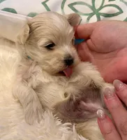 processed/fdfba5b3-2f17-470f-8353-038889de745c/listing/6fcd5482-3ca7-42d9-b82b-8a59bc50bd2e/b8a7f2dc-9738-4f5b-8a4b-30cad8a5ca04