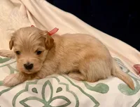 processed/fdfba5b3-2f17-470f-8353-038889de745c/listing/b1549d46-dfa3-401b-a24d-9249517d7689/5a4c393b-7e4f-4645-8e8b-94fbb2b7e06d