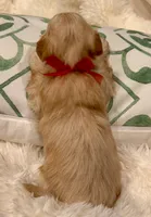 processed/fdfba5b3-2f17-470f-8353-038889de745c/listing/b1549d46-dfa3-401b-a24d-9249517d7689/a6059564-2afd-49e8-90af-dc6103ace658