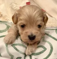 processed/fdfba5b3-2f17-470f-8353-038889de745c/listing/b1549d46-dfa3-401b-a24d-9249517d7689/bda43f43-709d-4d19-b65b-0ba0e03c2d42