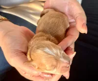 processed/fdfba5b3-2f17-470f-8353-038889de745c/listing/dca15bfb-0bfd-4d34-8a05-62b18d1ff3ad/70baafff-2dc0-4377-b0dc-13416eb9ea17