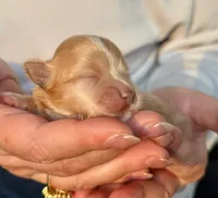 processed/fdfba5b3-2f17-470f-8353-038889de745c/listing/dca15bfb-0bfd-4d34-8a05-62b18d1ff3ad/b450440f-8d72-4704-820c-d303ea641cca