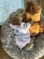 processed/fdfe24ed-2bee-42d0-be33-580616b85d45/facility/6d7abdc2-1220-4c10-a4d0-41bf60920efc