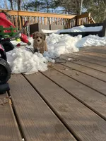 processed/fdfe24ed-2bee-42d0-be33-580616b85d45/facility/9ec67524-893c-4d19-b863-47a55112955f