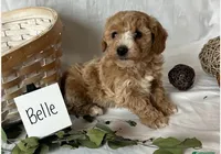 processed/fdfe24ed-2bee-42d0-be33-580616b85d45/facility/ff02650a-20b8-4468-94fb-a572048368fc