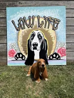 Barbie (pink collar girl), a female Basset Hound for sale in Virginia Beach, VA – 3 of 5