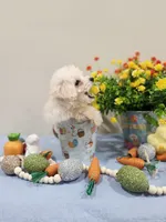 Vercase (AKC), a male Poodle - Toy  for sale in Rainbow City, AL – Photo 9 of 10