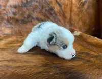 processed/fe0a8bb5-47cc-4616-8983-9e8bf823c40c/listing/05f4843e-e8bd-4477-8737-eecbaa6db932/080b4cba-5415-4c4d-b5a7-decb1b0e3d7a