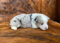 processed/fe0a8bb5-47cc-4616-8983-9e8bf823c40c/listing/05f4843e-e8bd-4477-8737-eecbaa6db932/16261b0d-0130-451d-b397-a0c09b03a9a6