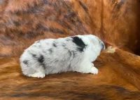 processed/fe0a8bb5-47cc-4616-8983-9e8bf823c40c/listing/05f4843e-e8bd-4477-8737-eecbaa6db932/374deb95-00ae-4ae8-a873-47ccfa892c50