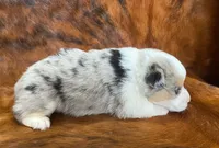 processed/fe0a8bb5-47cc-4616-8983-9e8bf823c40c/listing/05f4843e-e8bd-4477-8737-eecbaa6db932/65b1cd1f-3bb7-4c7c-8aae-d6760e7152f2