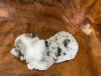 processed/fe0a8bb5-47cc-4616-8983-9e8bf823c40c/listing/05f4843e-e8bd-4477-8737-eecbaa6db932/aba2bbf6-aa97-45b1-863e-1ea9df64a67e