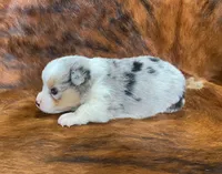 processed/fe0a8bb5-47cc-4616-8983-9e8bf823c40c/listing/05f4843e-e8bd-4477-8737-eecbaa6db932/c480c788-179c-4fe0-859b-269984eb4fcf